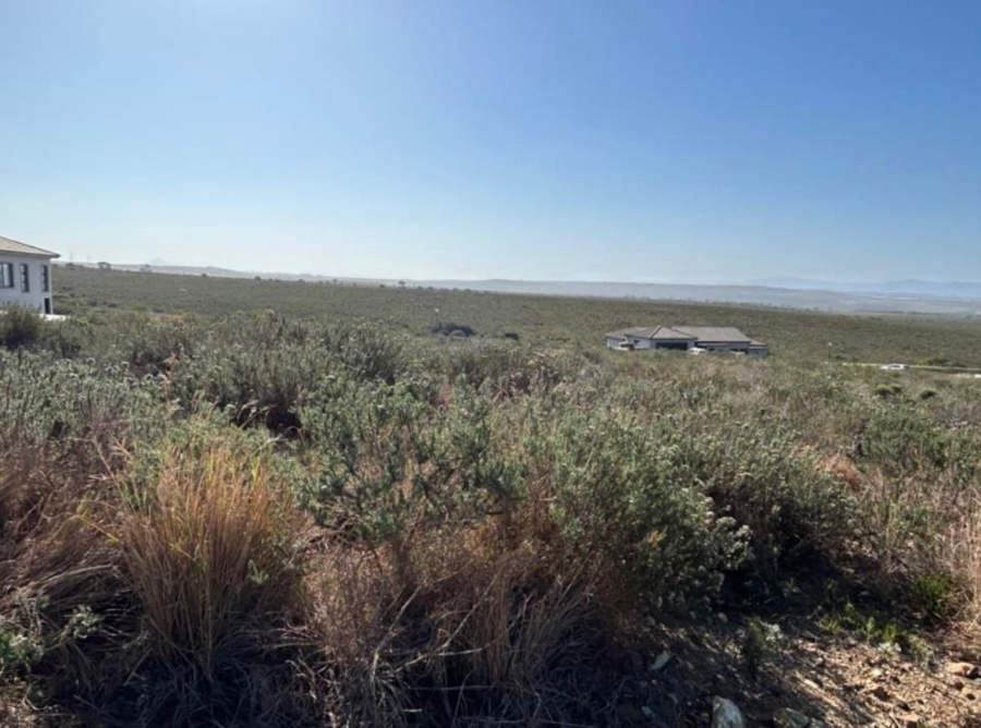 0 Bedroom Property for Sale in Blue Waters Estate Eastern Cape